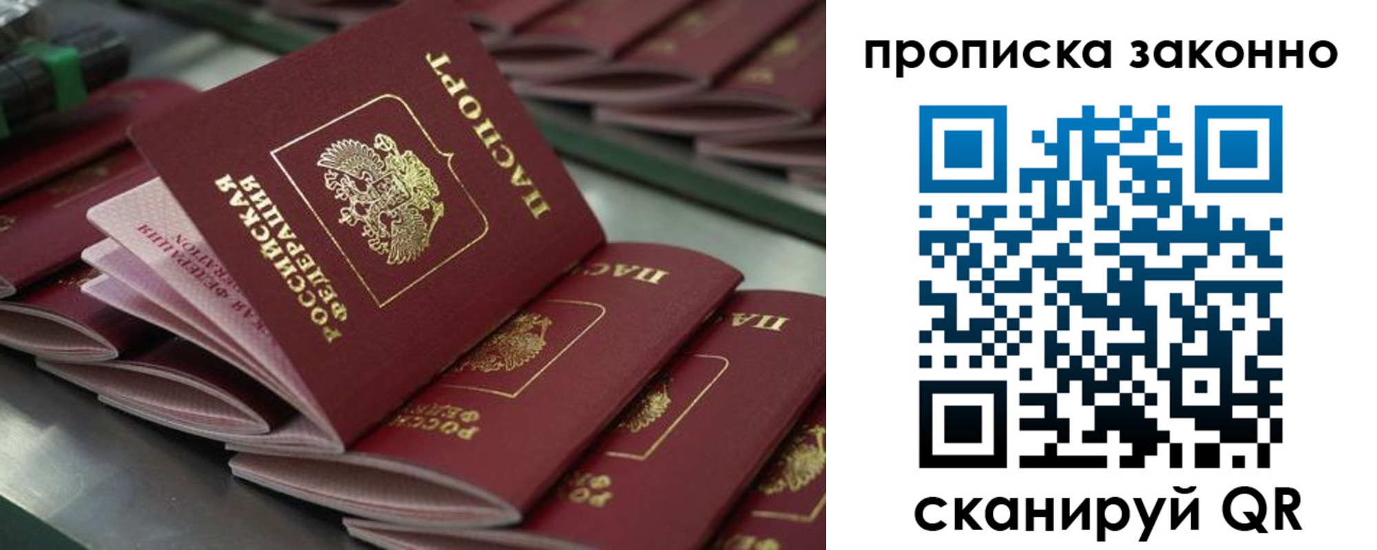 миграционный учет в Новозыбкове